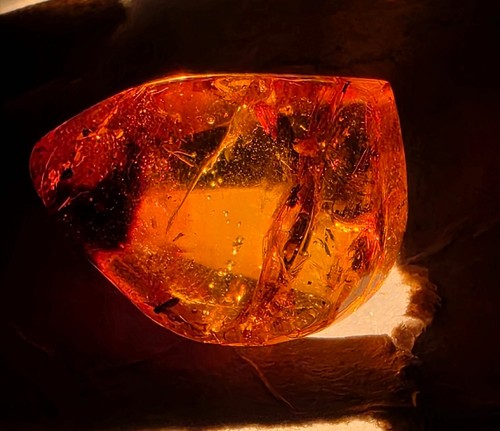 Amber beautiful pieces with - amber,