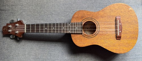 Samick greg bennett design - bennett,