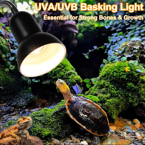 Tortoise heat lamp - lamp, 2