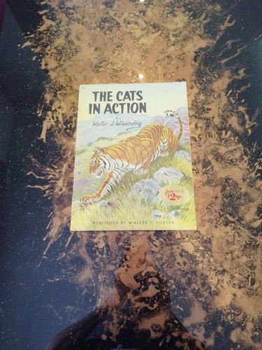 Walter foster art book the - t.,