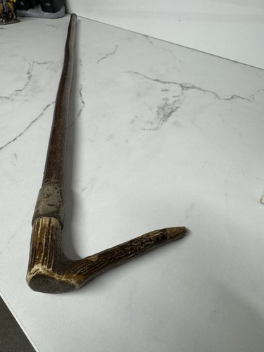 Vintage stag antler - stag, handle