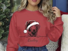 Chesapeake Bay Retriever Christmas Sweatshirt Personalised Dog Name Unisex Gift
