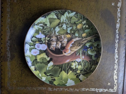 Hidden treasures plate - hidden,