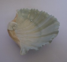 Small Royal Worcester shell