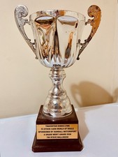 Silver sports trophy - 🏆,