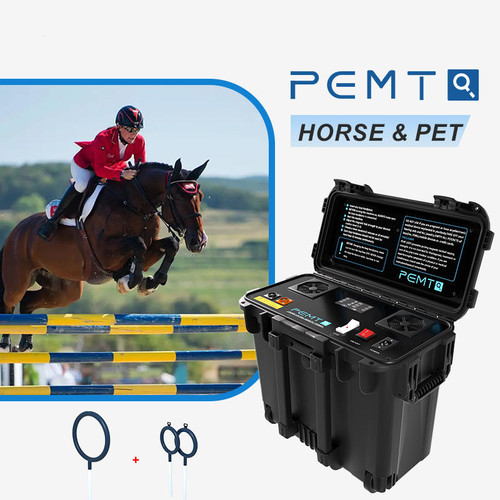 Equine pemf magneto pmst loop - pemf,