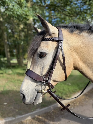 Anatomic hunter show bridle - show,