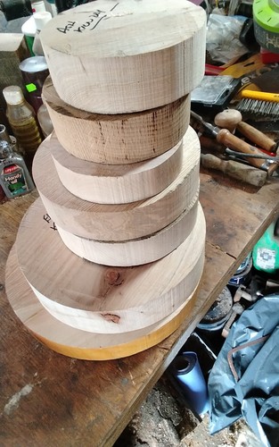Various bowl blanks - x7, wood