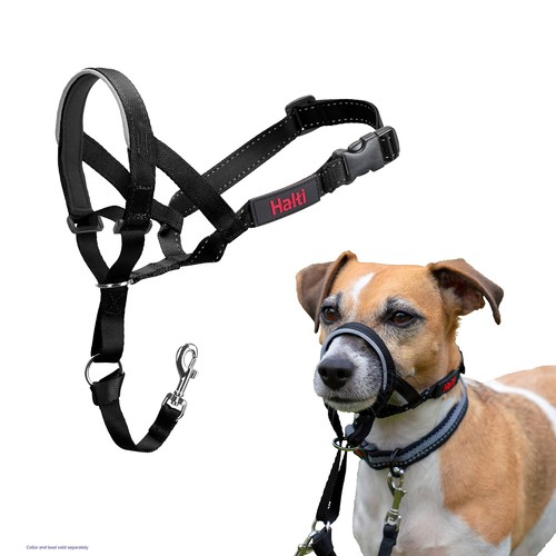 Halti headcollar size - headcollar,