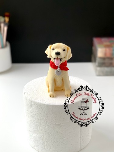 Labrador puppy cake topper - cake,