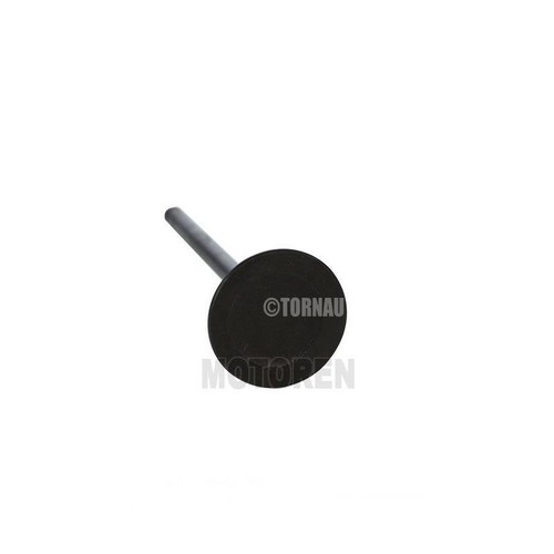 Intake valve for - audi, seat