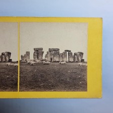 Salisbury Wiltshire Stereoview C1870 Real Photo Stonehenge View Sheep Grazing