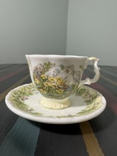 Royal Doulton Brambly Hedge