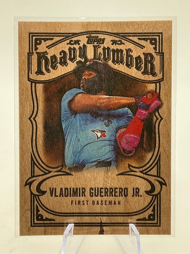 Vladimir guerrero 2026 - vladimir,