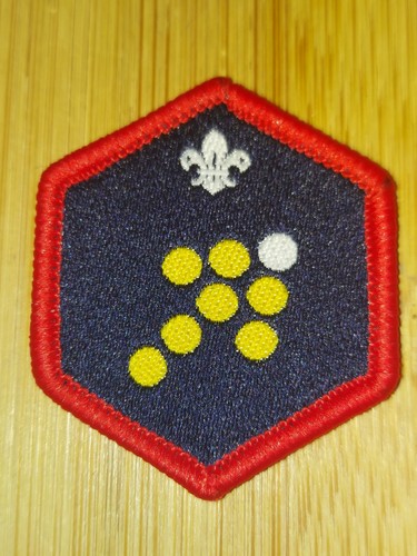 Scouting scout team - uk, leader