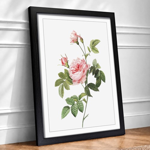 Rose turbine pink flowers - in,