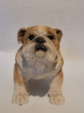 Heavy Detailed Brown And White English Bulldog Figure Ornament (Stamped)