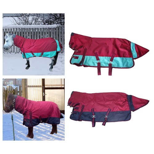 Horse winter turnout blanket - horse,