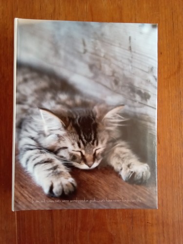 Photograph album 5 - album, x