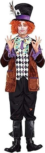 Hatter madness men costume - madness,