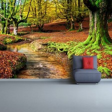 Photo wallpaper Wall mural