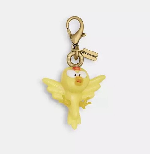 Coach brain dead kiwi bird - x,