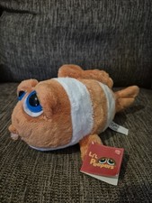 Lil Peepers by Suki Coral Fish