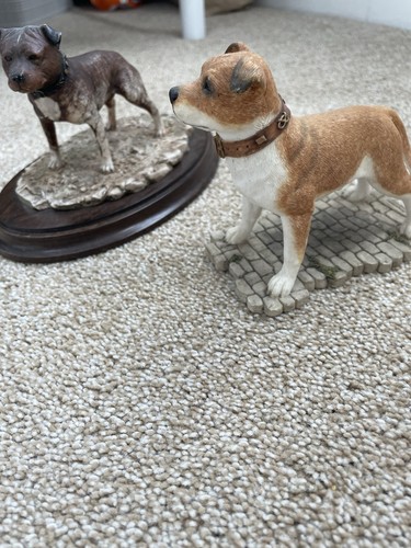Staffordshire bull terrier - staffordshire,