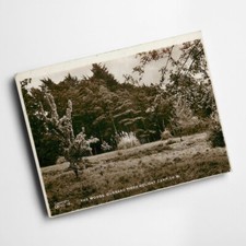 A3 PRINT - Vintage Isle of Wight - The Woods. Gurnard Pines Holiday Camp