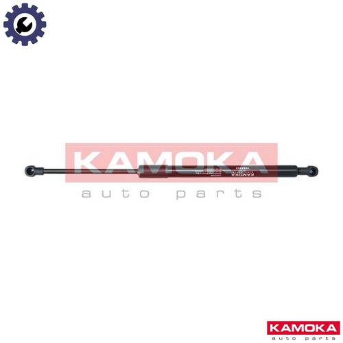 Gas spring bootcargo area - gas,