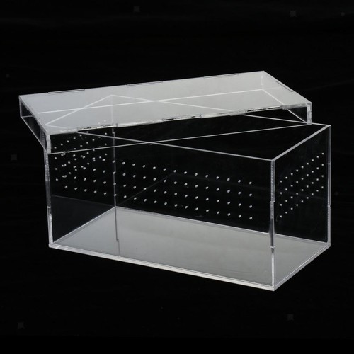 Reptile tank spiders tortoise - reptile,