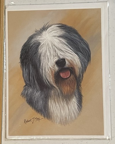 Old english sheepdog - old,