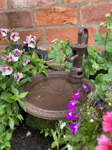 Small cast iron pump - small,