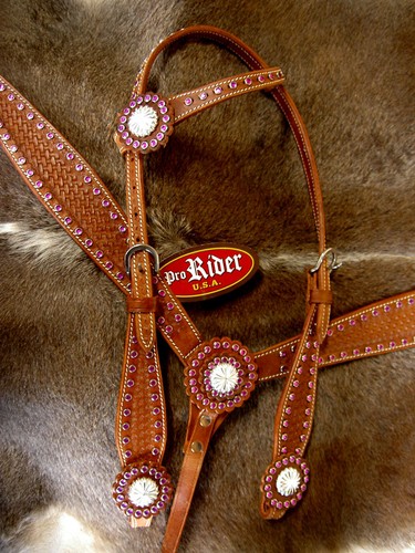 Horse show tack bridle western - horse,