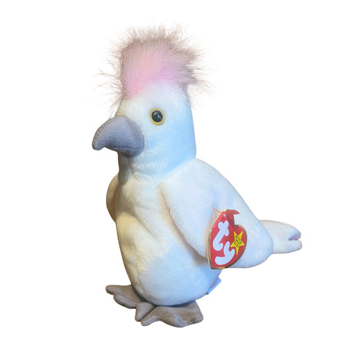 Kuku the cockatoo parrot - -,