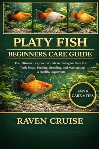 Platy fish beginners care - beginners,