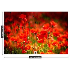 Photo wallpaper Wall mural Removable Self-adhesive Poppies Meadow