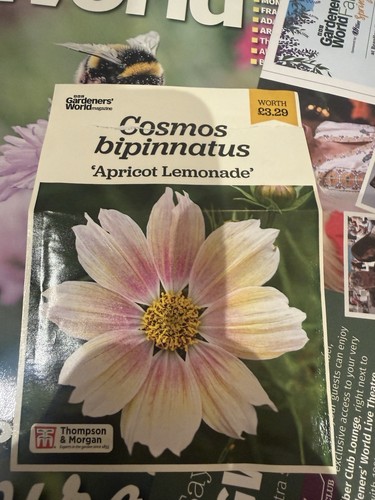 Thompson morgan cosmos - morgan,
