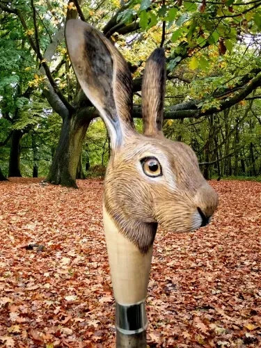Hand carved wooden walking - hand,