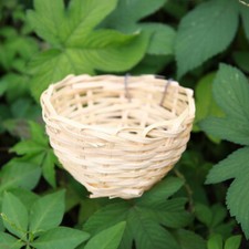Bamboo woven small bird nest - bird,