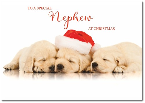 Doodlecards nephew christmas - nephew,