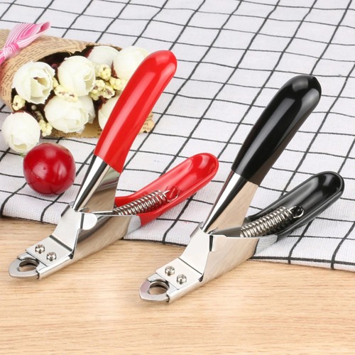 Pet nail clippers dog - nail,
