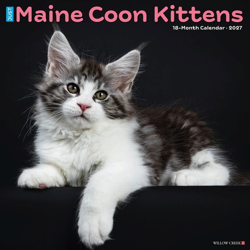 Just maine coon - maine,