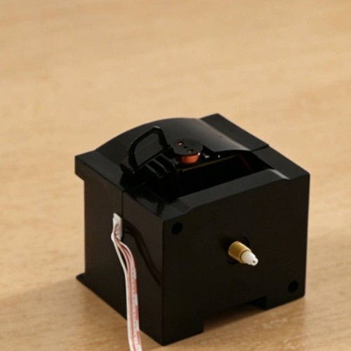 Cuckoo timepiece movement - cuckoo,