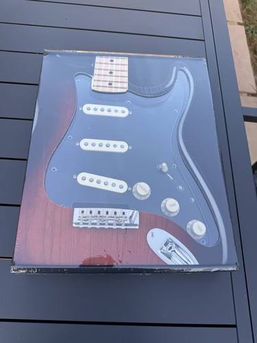 New fender loaded pre wired - loaded, pre-wired