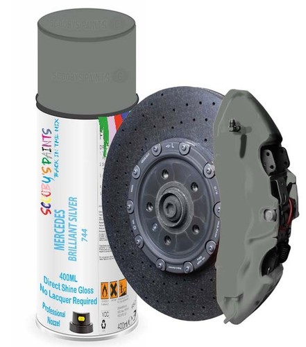 Brake caliper paint - caliper,