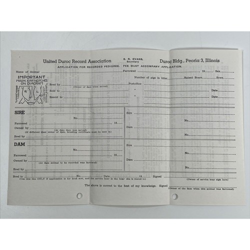 Vtg 1940 duroc swine - 1940’s,