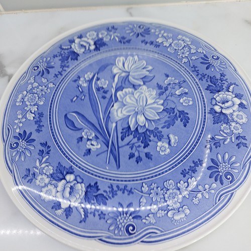 Spode blue room botanical - room,