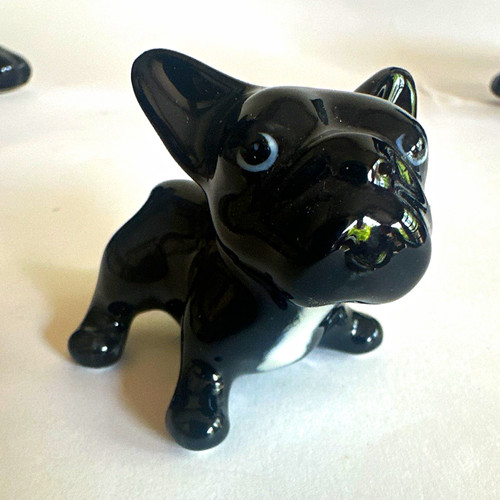 Black french bulldog - black,