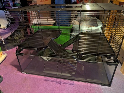 Paw hut large - hamster, cage